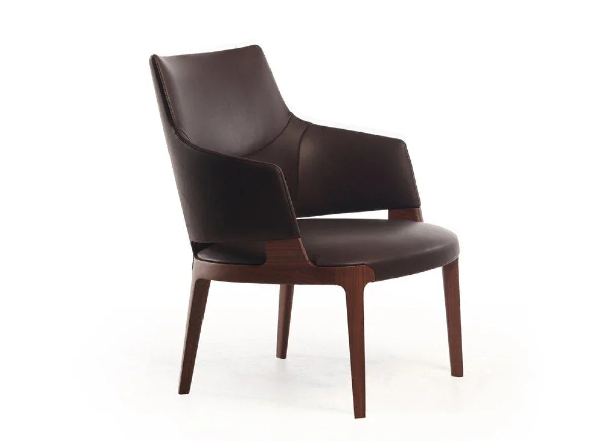Velis Lounge Armchair - Image 4